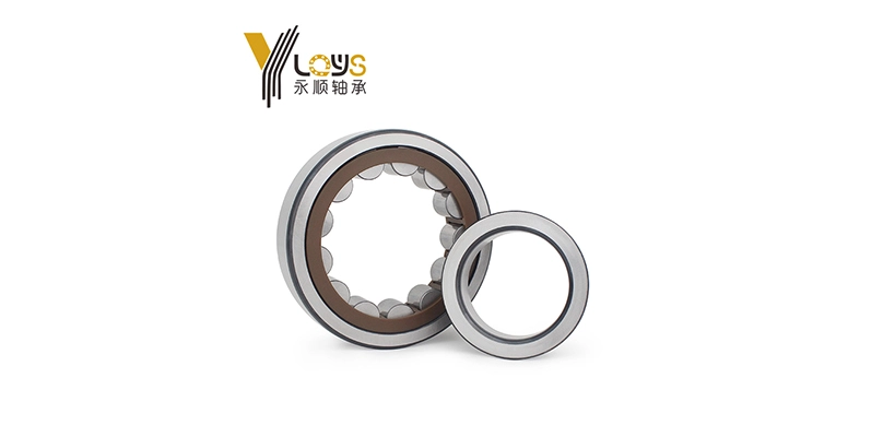 Single-row vs. Double-row Cylindrical Roller Bearings Single-row vs. Double-row Cylindrical Roller Bearings